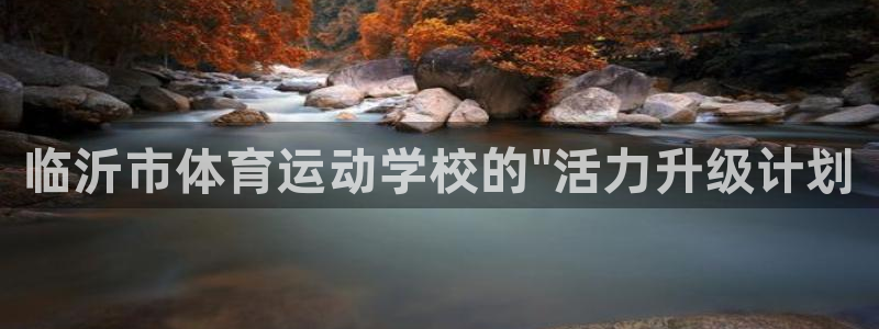 vsport体育官方正版app集团简介：临沂市体育运
