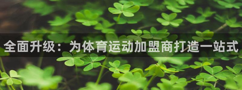 vsport体育官网下载娱乐：全面升级：为体育运动加盟商打造