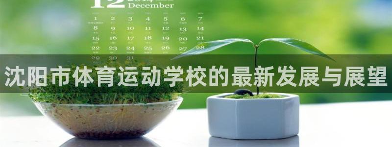 vsport体育官网下载软件：沈阳市体育运动学校的最