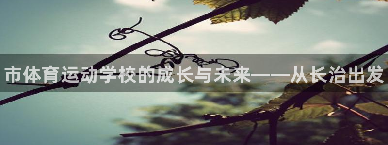 vsport体育官网下载平台假的吗是真的吗吗：市体育