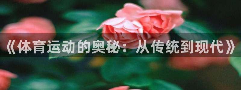 vsport体育官方正版app官方：《体育运动的奥秘：从传统