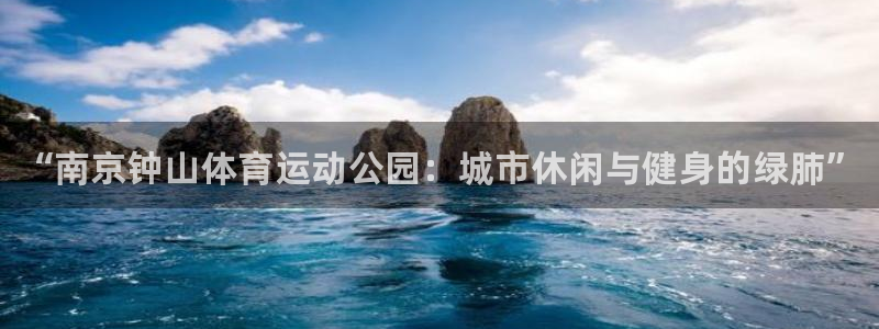 vsport体育官网下载平台注册要钱吗安全吗：“南京钟山体育