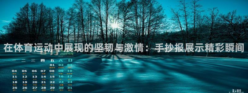 海南vsport体育官网下载：在体育运动中展现的坚韧与激情：