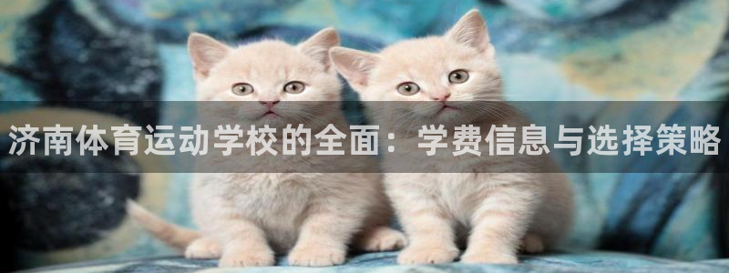 vsport体育官方正版app集团