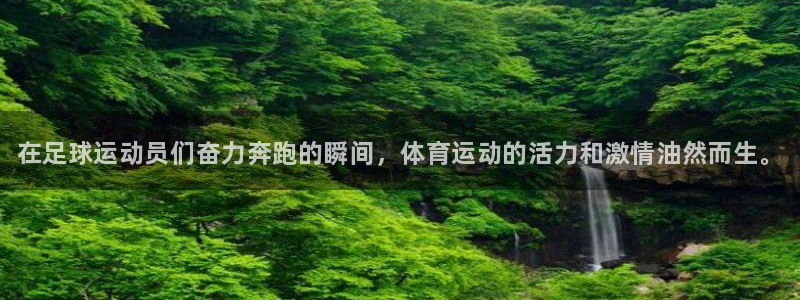 vsport体育官方正版app娱乐平台：在足球运动员们奋力奔