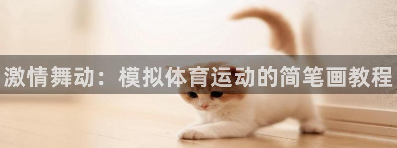 vsport体育官网下载是干嘛的公司