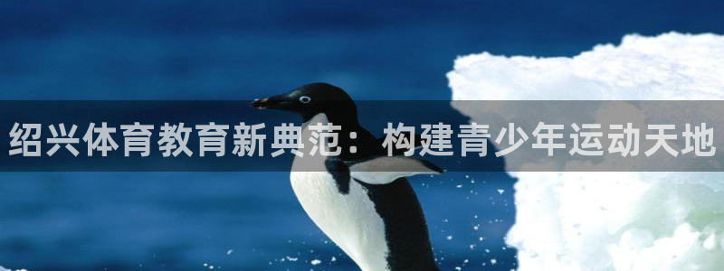 vsport体育官网下载招商电话：绍兴体育教育新典范：构建青