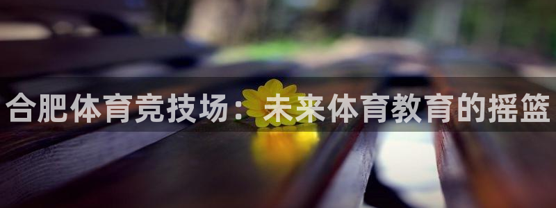 vsport体育官网下载平台是正规平台吗知乎：合肥体