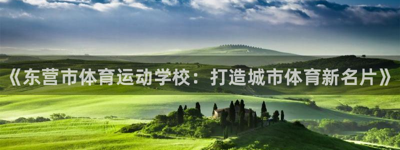 海南vsport体育官网下载发展怎么样：《东营市体育
