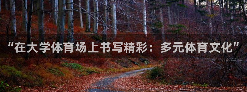 注册vsport体育官方正版app：“在大学体育场上