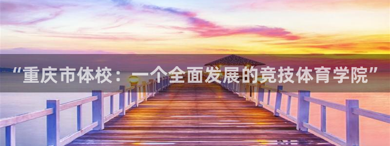vsport体育官网下载平台注册流程图：“重庆市体校