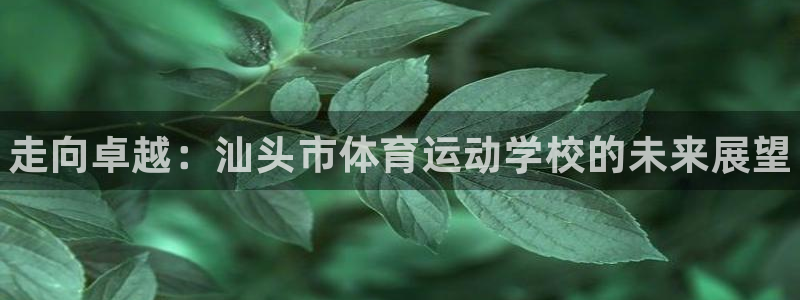 注册vsport体育官方正版app：走向卓越：汕头市