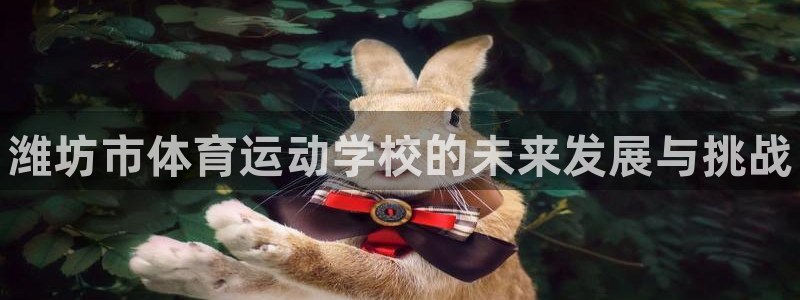 vsport体育官方正版app集团：潍坊市体育运动学