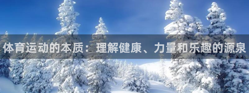 海南vsport体育官网下载发展怎么样