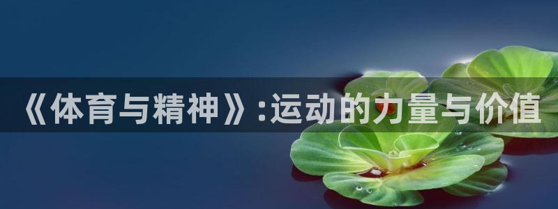 vsport体育官方正版app集团简介：《体育与精神