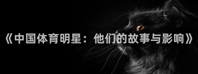 vsport体育官方正版app新能源：《中国体育明星