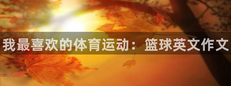 vsport体育官方正版app娱乐是那个系列的台子：