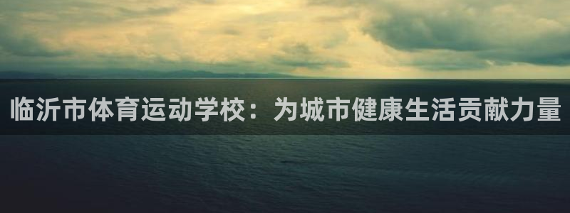 vsport体育官网下载：临沂市体育运动学校：为城市