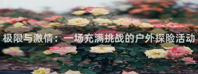 vsport体育官网下载软件：极限与激情：一场充满挑战的户外