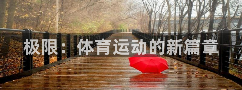 vsport体育官方正版app集团官网首页网址：极限：体育运