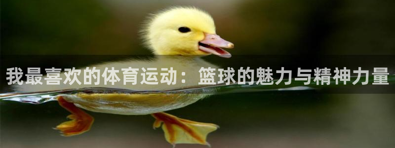 海南vsport体育官网下载：我最喜欢的体育运动：篮球的魅力