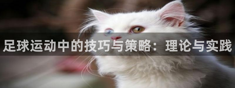 vsport体育官网下载平台假的吗是真的吗：足球运动