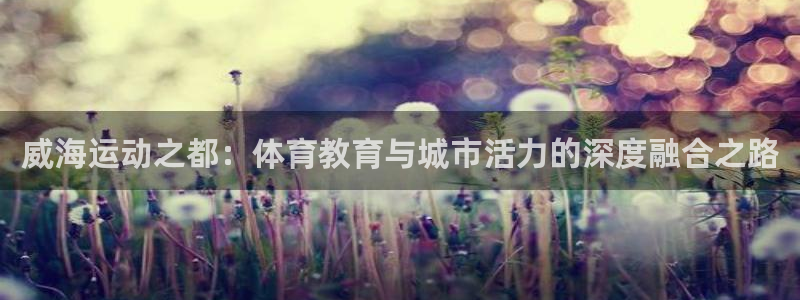 vsport体育官方正版app新能源：威海运动之都：