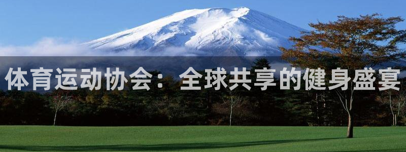 注册vsport体育官方正版app：体育运动协会：全球共享的