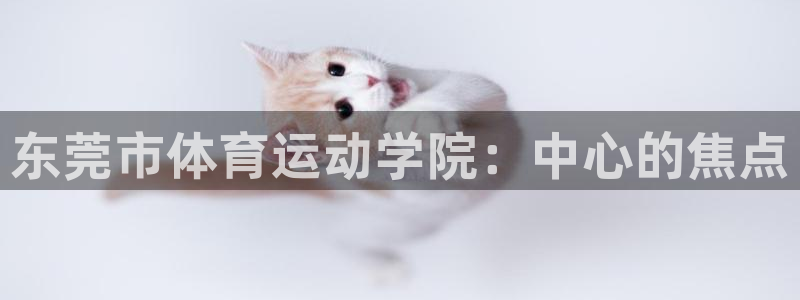 vsport体育官网下载招商电话号码查询是多少：东莞