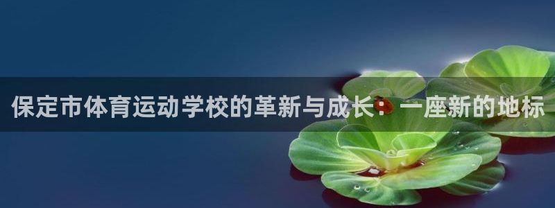 vsport体育官网下载：保定市体育运动学校的革新与成长：一