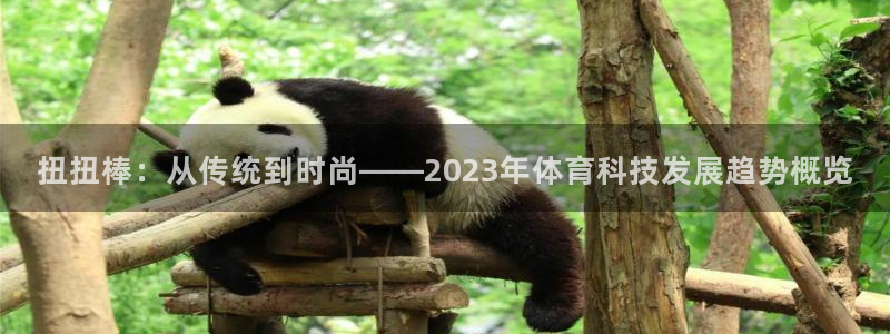 vsport体育官网下载平台是正规平台吗安全吗：扭扭