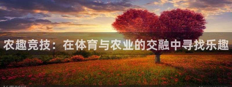 vsport体育官网下载平台APP：农趣竞技：在体育