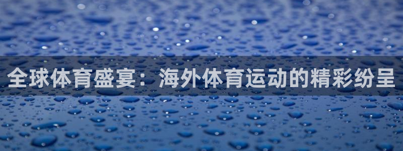 vsport体育官方正版app娱乐网站