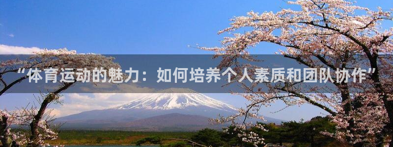 vsport体育官网下载招商电话号码：“体育运动的魅