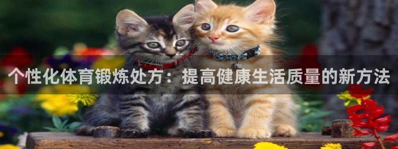 vsport体育官网下载平台APP