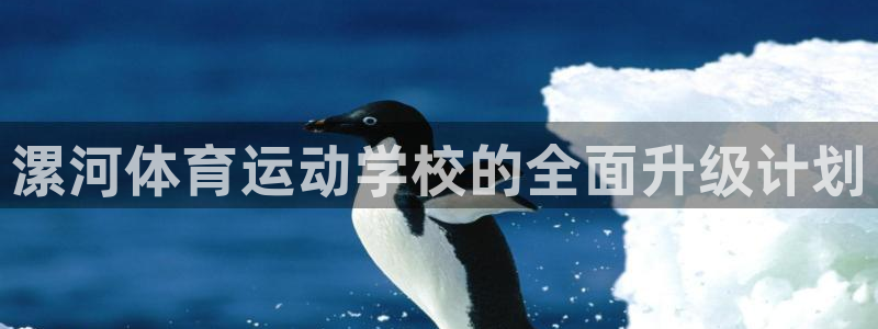 vsport体育官方正版app集团