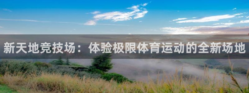 vsport体育官方正版app娱乐：新天地竞技场：体验极限体