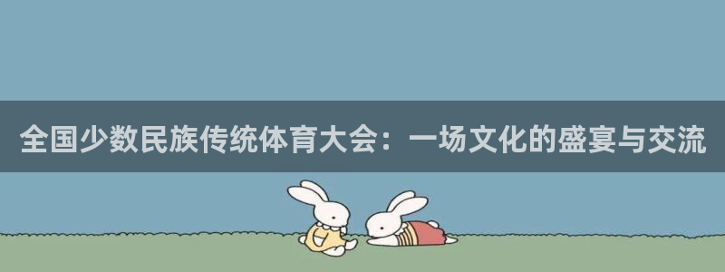 vsport体育官方正版app集团：全国少数民族传统体育大会