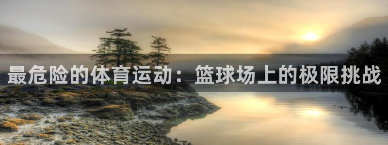 vsport体育官方正版app新能源：最危险的体育运动：篮球