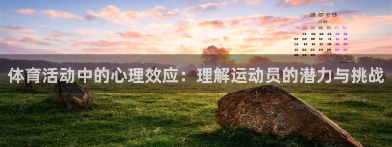 vsport体育官方平台体育：体育活动中的心理效应：理解运动