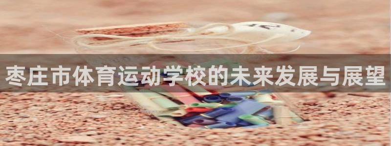 vsport体育官方正版app娱乐首页网站大全：枣庄市体育运