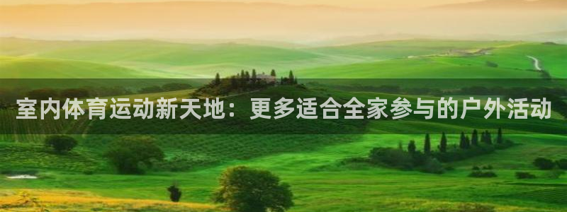 vsport体育官网下载平台注册要钱吗：室内体育运动新天地：