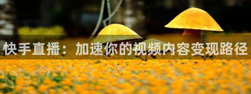 柠檬直播视频：快手直播：加速你的视频内容变现路径