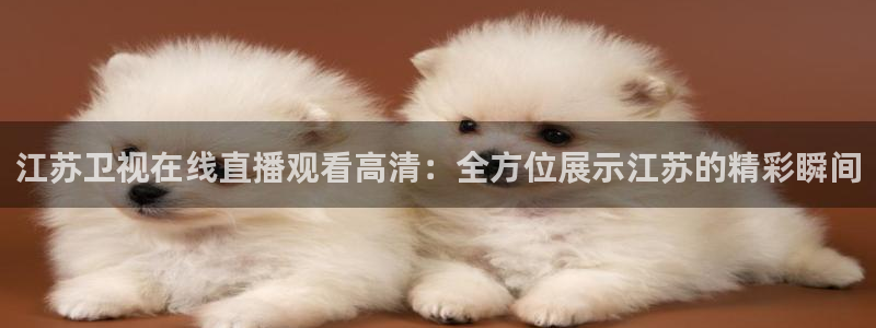柠檬直播nba在线观看：江苏卫视在线直播观看高清：全方位展示江苏的精彩瞬间