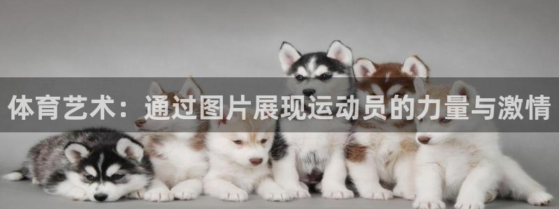 vsport体育官方正版app五金厂：体育艺术：通过图片展现