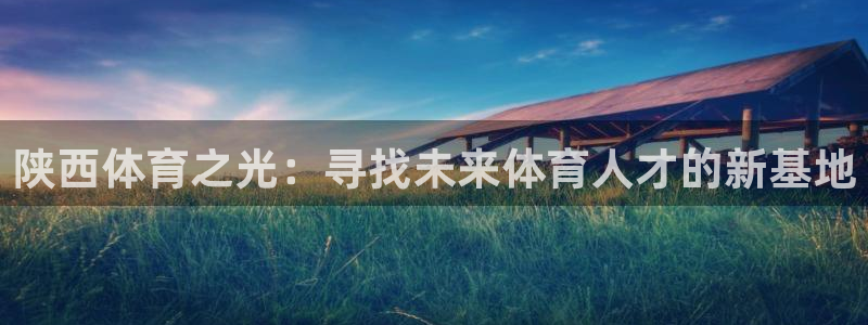 vsport体育官方正版app集团官网首页：陕西体育之光：寻