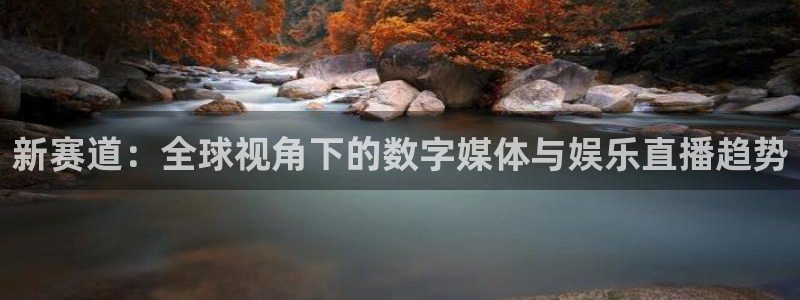柠檬直播改名叫什么了：新赛道：全球视角下的数字媒体与娱乐直播趋势