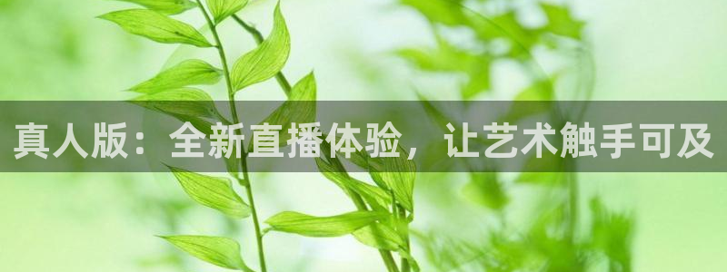 柠檬直播改名叫什么了：真人版：全新直播体验，让艺术触手可及
