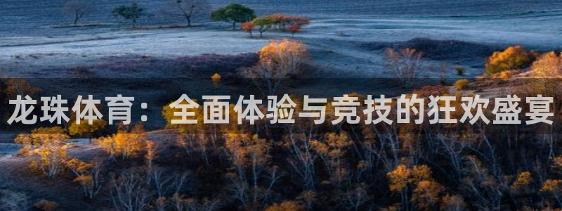 柠檬直播tv：龙珠体育：全面体验与竞技的狂欢盛宴