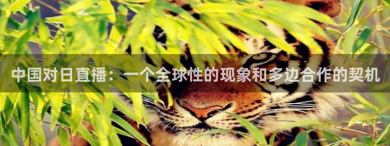 柠檬体育在线观看：中国对日直播：一个全球性的现象和多边合作的契机